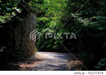 うさぎ島(大久野島)の風景2 うさぎ島(大久野島)の風景2 81277478