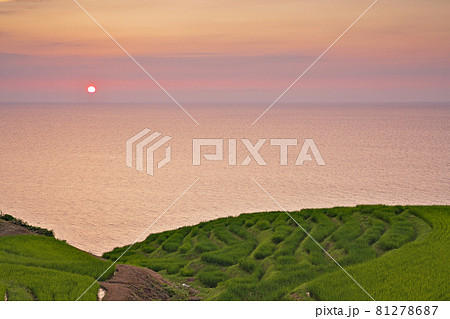 【白米千枚田 (夕刻)】 石川県輪島市白米町 81278687