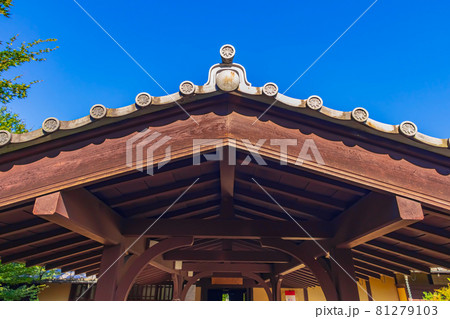 丈山苑、美しい和風庭園と書院〈愛知県安城市〉 81279103