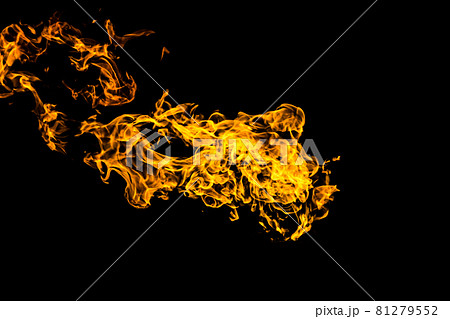 Burning flame or fire isolated on black background. 81279552