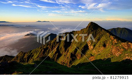 朝焼けの谷川岳トマの耳と広がる大雲海 81279915
