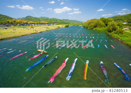 端午の節句のこいのぼり 山口県防府市佐波川 端午の節句のこいのぼり 山口県防府市佐波川 81280513