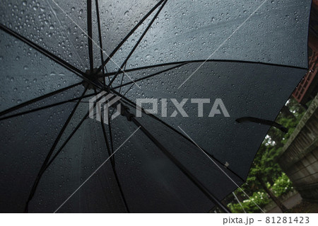 雨の日に差す傘 81281423