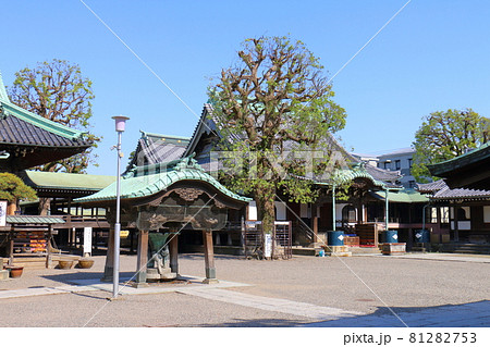 東京都葛飾区柴又の柴又帝釈天帝釈堂と瑞龍の松 帝釈天題経寺 経栄山題経寺 瑞龍の松 東京都葛飾区柴又の柴又帝釈天帝釈堂と瑞龍の松 帝釈天題経寺 経栄山題経寺 瑞龍の松 81282753