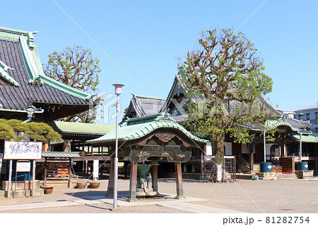 東京都葛飾区柴又の柴又帝釈天帝釈堂と瑞龍の松　帝釈天題経寺　経栄山題経寺　瑞龍の松 81282754