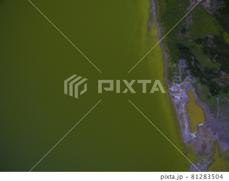 Pampas lagoon, aerial view 81283504
