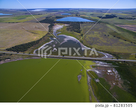 Pampas lagoon, aerial view 81283505