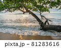 Blury blackground Beautiful  beach . White sand and tree travel tourism wide panorama background concept. 81283616