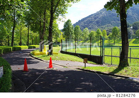 広島市安佐北区の可部運動公園の並木の景色 81284276