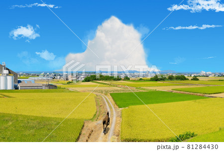 田園風景　馬走る　遠方に瀬戸内海(香川県観音寺市)　イラスト 81284430