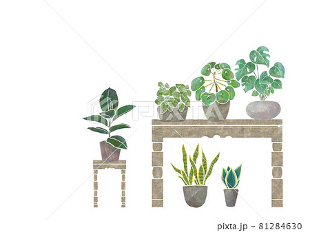 観葉植物 水彩風 インリア グリーン インドア セット 観葉植物 水彩風 インリア グリーン インドア セット 81284630