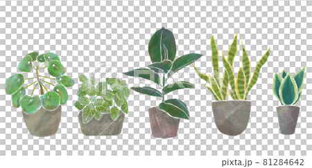 観葉植物 水彩風 インリア グリーン インドア セット 観葉植物 水彩風 インリア グリーン インドア セット 81284642