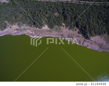 Pampas lagoon, aerial view 81284696
