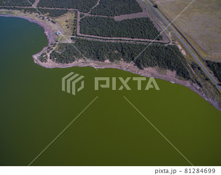 Pampas lagoon, aerial view 81284699
