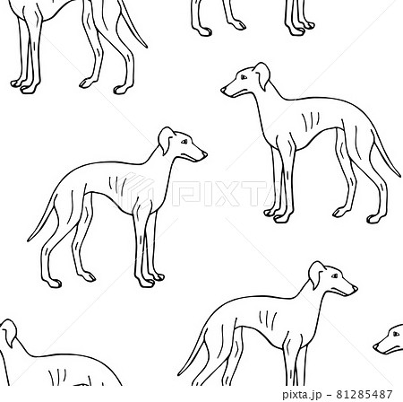 Vector seamless pattern of Italian greyhound dog 81285487
