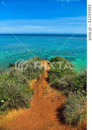 沖縄で眺める美しい海の絶景 81285983