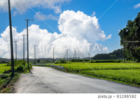 田園風景 田園風景 81286582