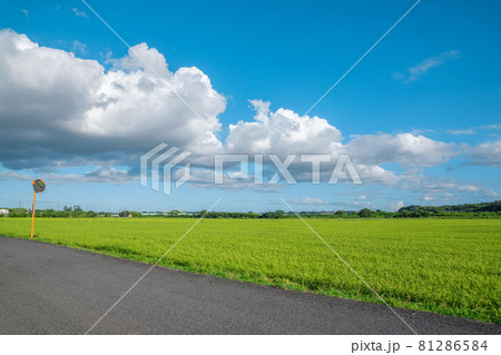 田園風景 81286584