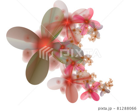 Computer-generated 3D fractal. Flower spiral in bright color. Computer-generated 3D fractal. Flower spiral in bright color. 81288066