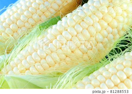 夏野菜の定番!産地直送の皮付き朝採れとうもろこし3本 夏野菜の定番!産地直送の皮付き朝採れとうもろこし3本 81288553