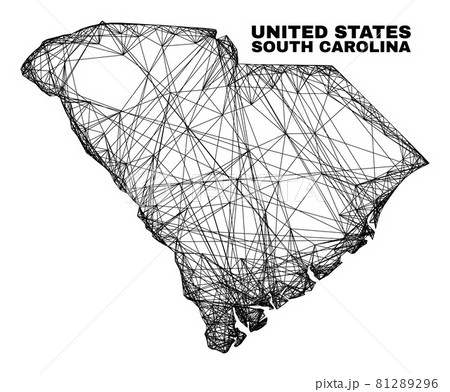 Hatched Irregular Mesh South Carolina State Map 81289296