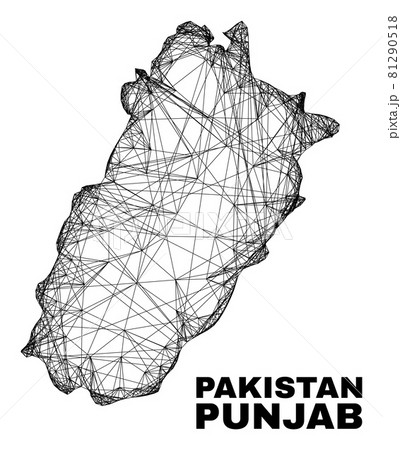 Linear Irregular Mesh Punjab Province Map 81290518