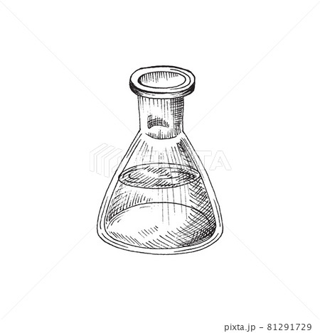 Chemical glass vintage flask with liquid in sketch style Chemical glass vintage flask with liquid in sketch style 81291729