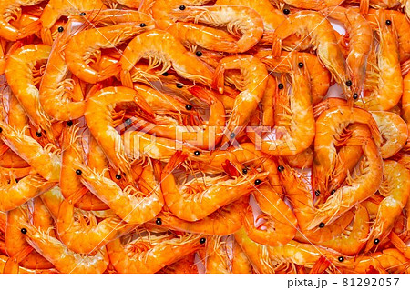 Top view of shrimp on white background. Top view of shrimp on white background. 81292057
