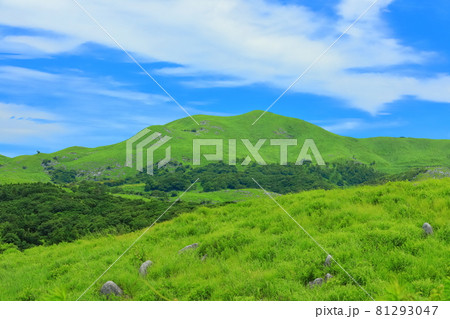 【福岡県】夏の平尾台(日本三大カルスト) 【福岡県】夏の平尾台(日本三大カルスト) 81293047