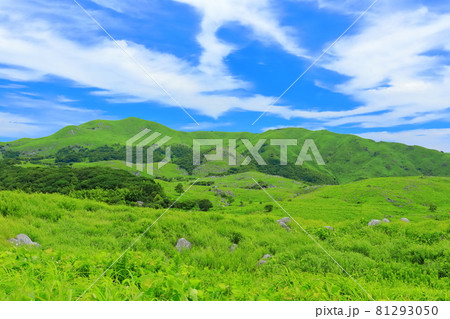 【福岡県】夏の平尾台（日本三大カルスト） 81293050