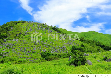 【福岡県】夏の平尾台（日本三大カルスト） 81293053