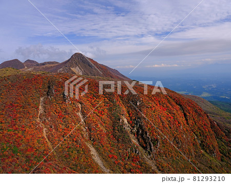 九重　紅葉 81293210