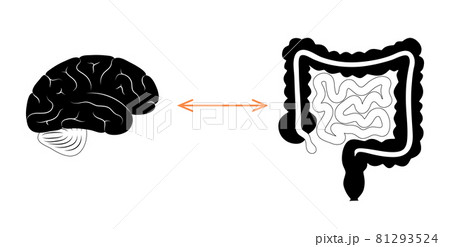 Gut brain connection 81293524
