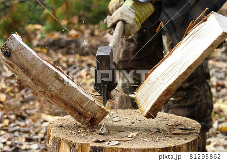 Task of splitting campfire wood while hunting Task of splitting campfire wood while hunting 81293862
