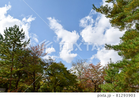 京都の秋、蹴上げを散策する 京都の秋、蹴上げを散策する 81293903