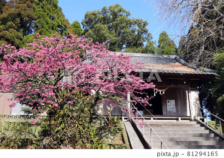 旗山神社の本殿 旗山神社の本殿 81294165