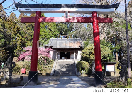 旗山神社の鳥居 旗山神社の鳥居 81294167