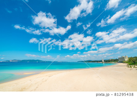 沖縄の海 81295438