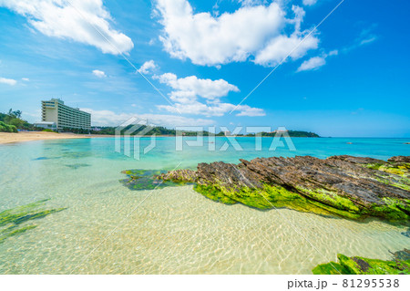 沖縄の海 81295538