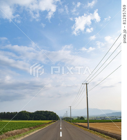 【北海道】田園風景が続く一本の道 【北海道】田園風景が続く一本の道 81295769