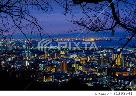 明け方、神戸の山手、保久良山より神戸市街地を望む 81295941