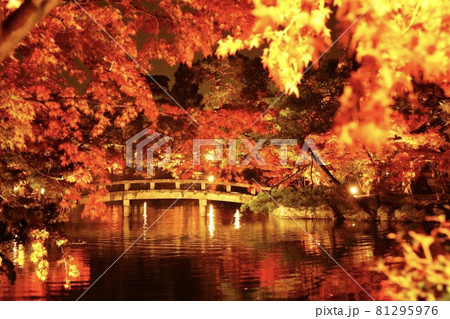 紅葉 81295976