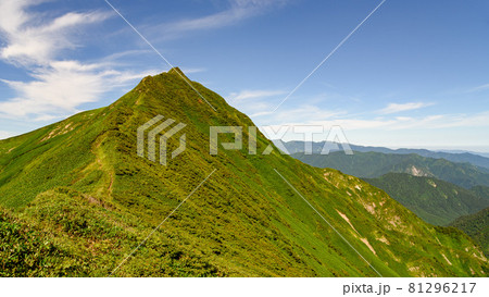 夏の山稜・谷川連峰縦走路とオジカ沢ノ頭 81296217