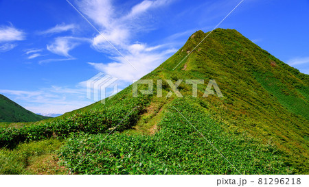 夏の空と谷川連峰縦走路・オジカ沢ノ頭 81296218