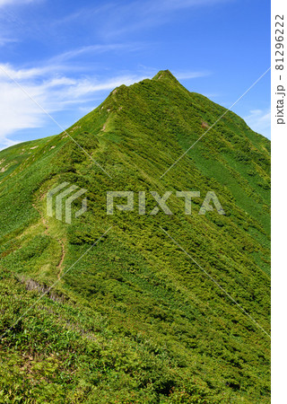 青空と夏の谷川連峰・オジカ沢ノ頭 81296222