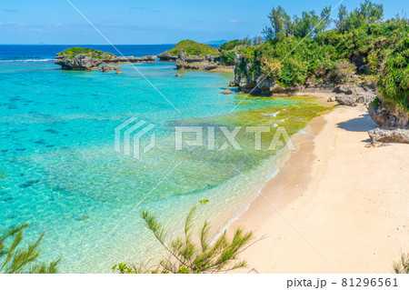 沖縄の海 81296561