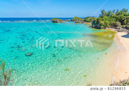 沖縄の海 81296855