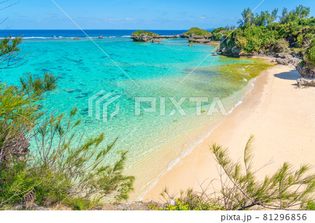 沖縄の海 81296856