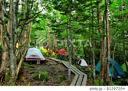 白駒池　原生林のキャンプ場　テント 81297204