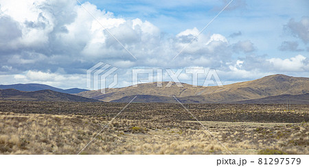 Vast and empty land along Volcanic Loop Hwy in Waiouru Military Area, Manawatu-Wanganui, New Zealand. Vast and empty land along Volcanic Loop Hwy in Waiouru Military Area, Manawatu-Wanganui, New Zealand. 81297579